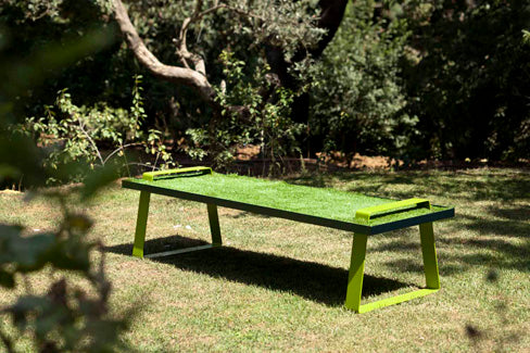 Un dejeuner sur l'herbe