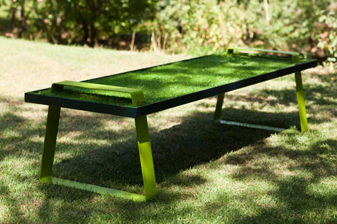 Un dejeuner sur l'herbe