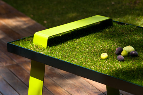 Un dejeuner sur l'herbe
